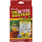 Intruder The Better Bugtrap for Plants Disposable Indoor/Outdoor Insect Trap (10-Pack) Image 1