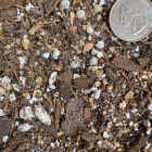 Sol Soils 2 Qt. Houseplant Chunky Mix Image 6