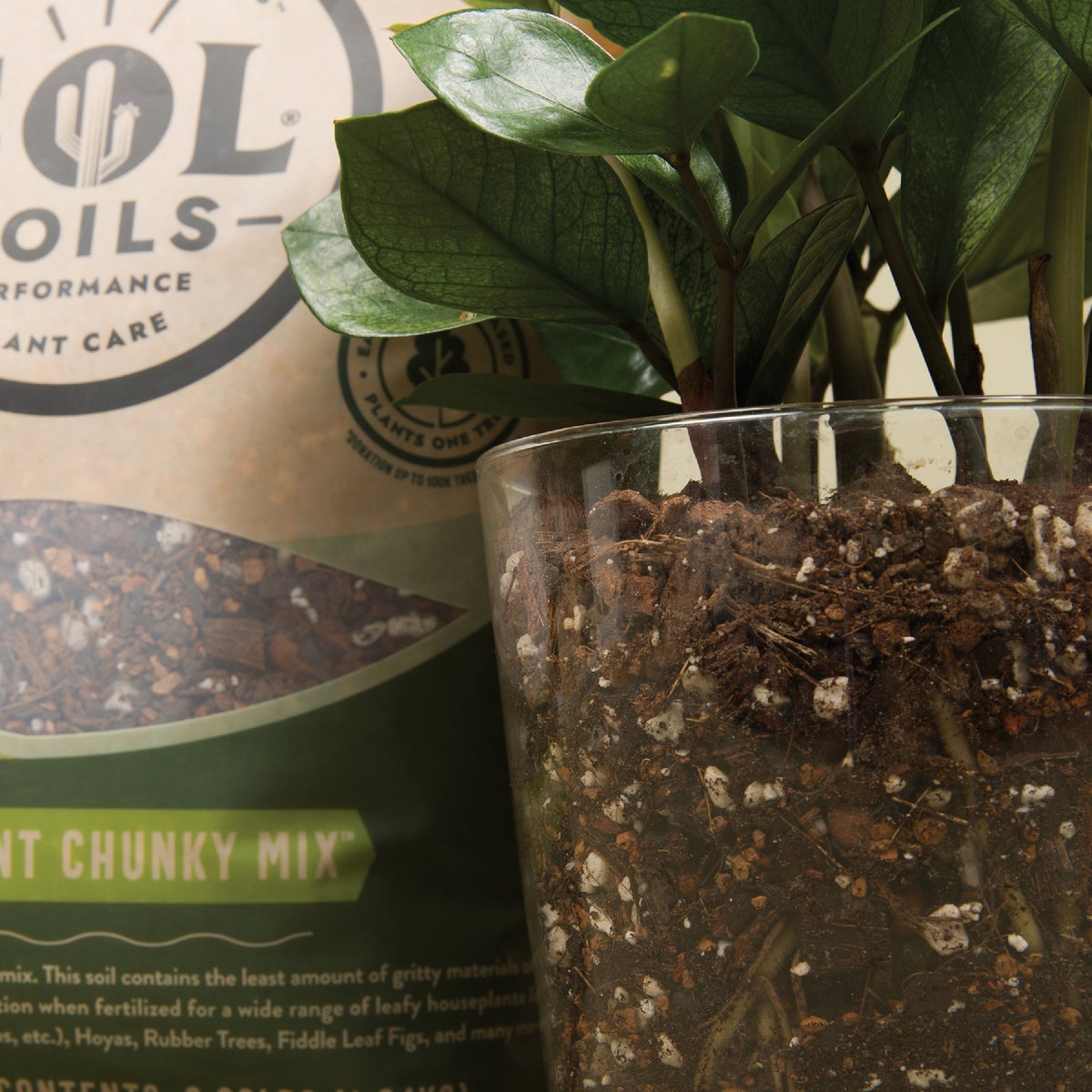 Sol Soils 2 Qt. Houseplant Chunky Mix Image 4