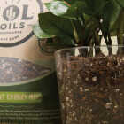 Sol Soils 2 Qt. Houseplant Chunky Mix Image 4