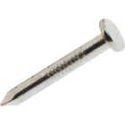 Do it 1-1/2 In. 9 ga Hot Galvanized Joist Nails (120 Ct., 1 lb) Image 2