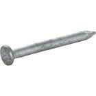 Do it 1-1/2 In. 9 ga Hot Galvanized Joist Nails (625 Ct., 5 lb) Image 2