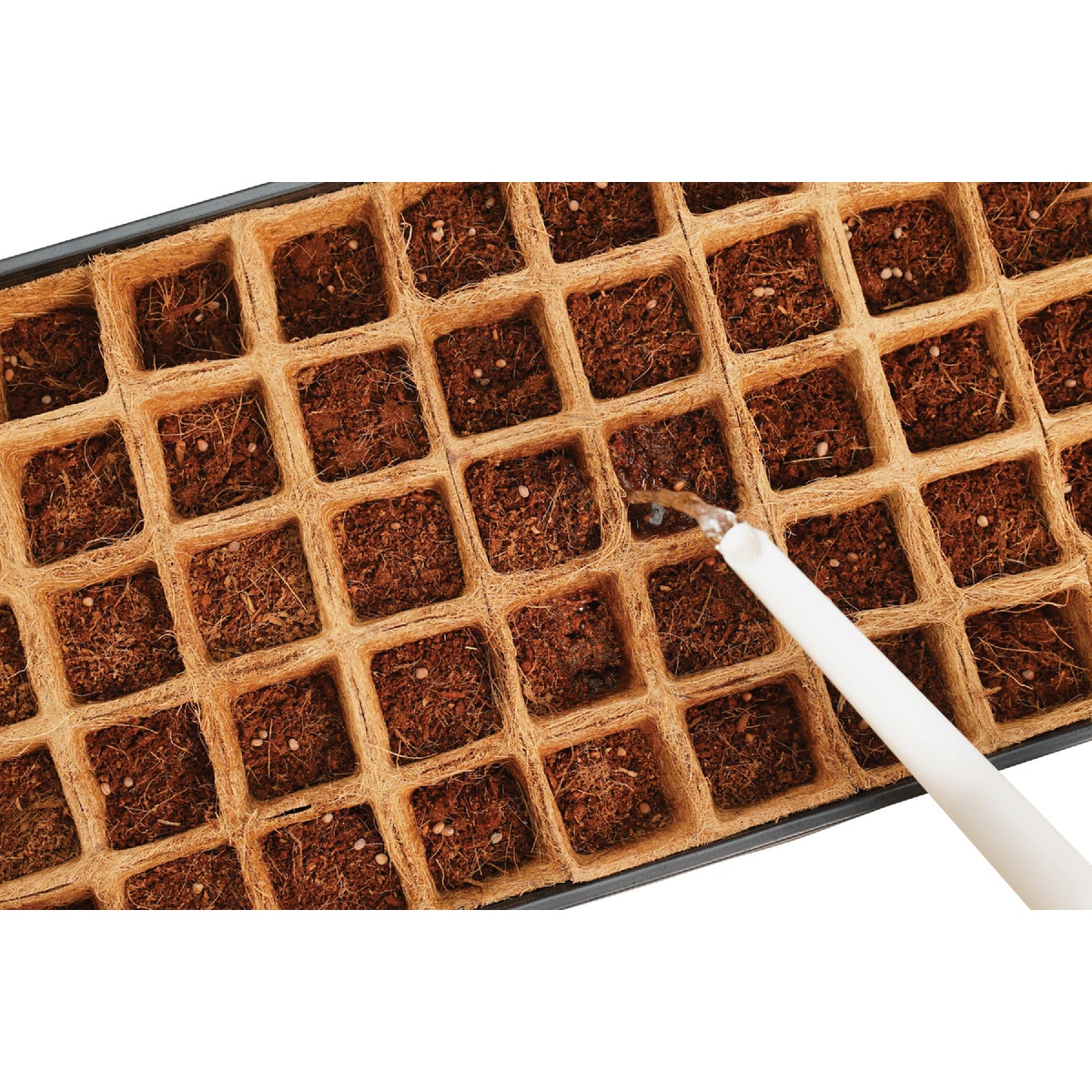 PlantBest 50-Cell Coir Seed Starter Kit Image 4