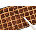 PlantBest 50-Cell Coir Seed Starter Kit Image 4