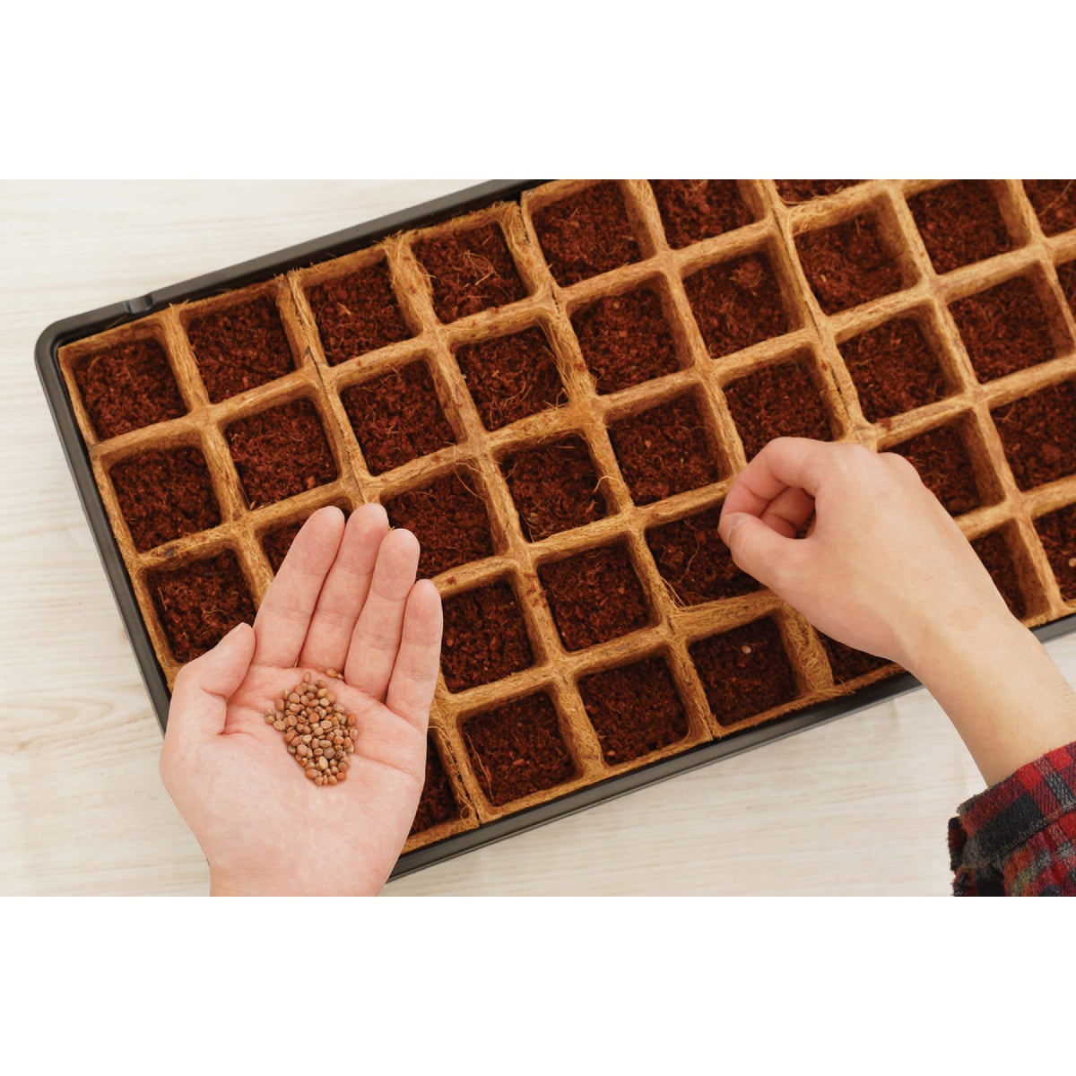 PlantBest 50-Cell Coir Seed Starter Kit Image 3