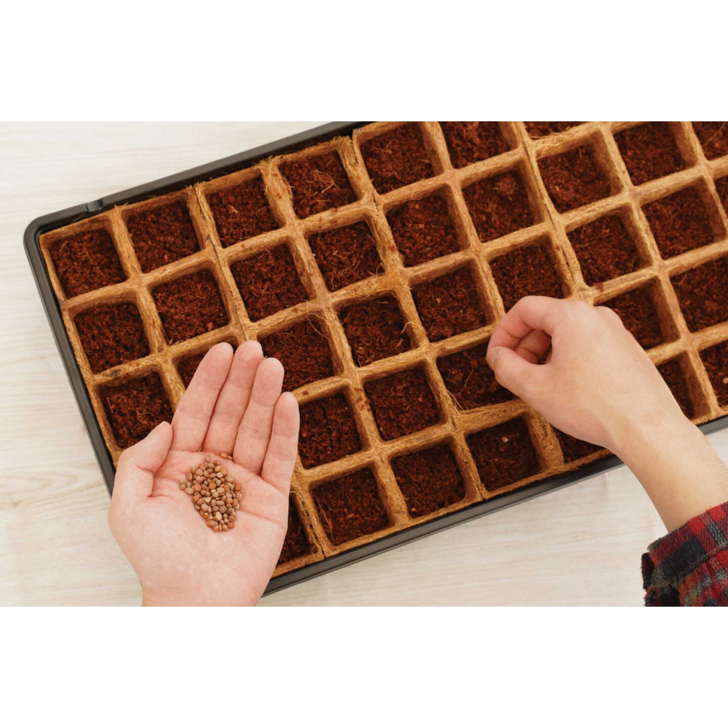 PlantBest 50-Cell Coir Seed Starter Kit Image 3