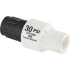 Raindrip 30 PSI 3/4 In. Pipe Thread Professional Pressure Regulator Image 1