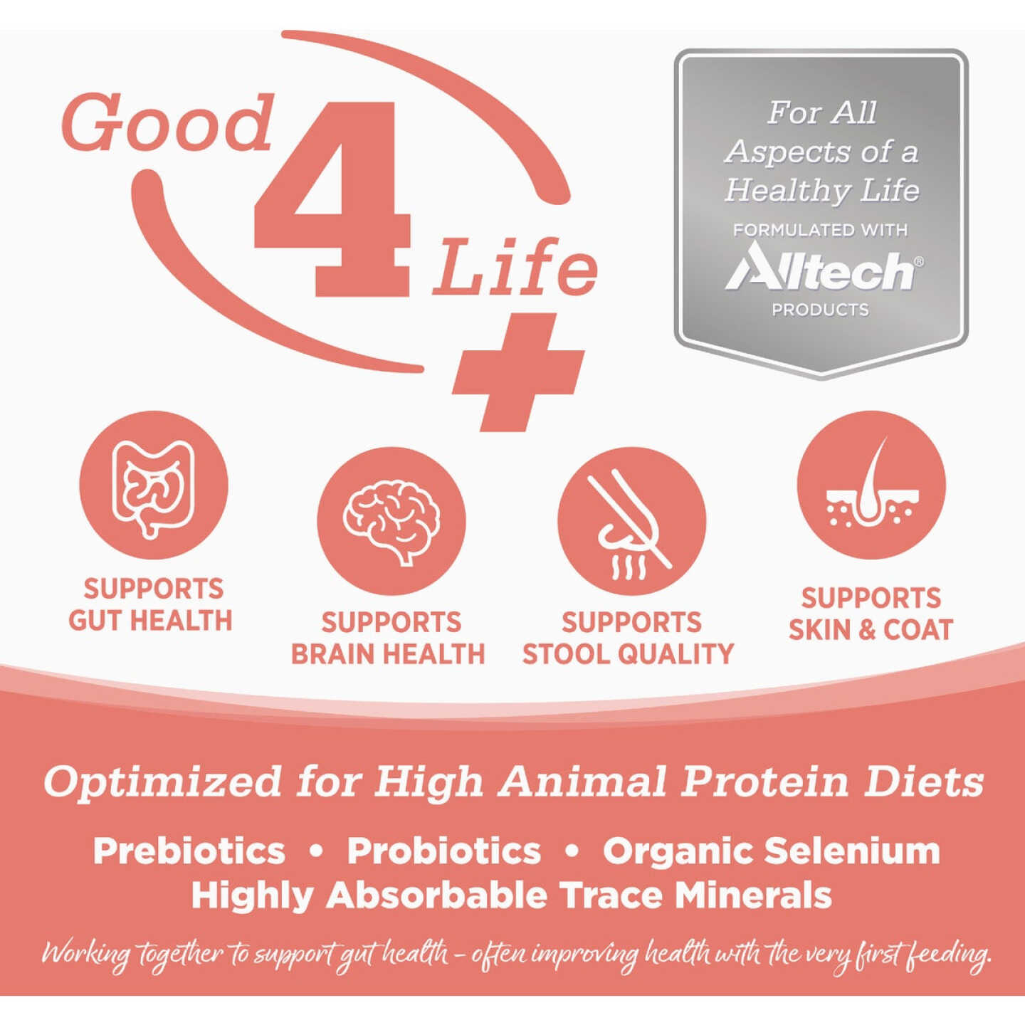 NutriSource 4 Lb. Country Select Recipe Grain Free Cat Food Image 4