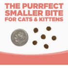 NutriSource 4 Lb. Country Select Recipe Grain Free Cat Food Image 6