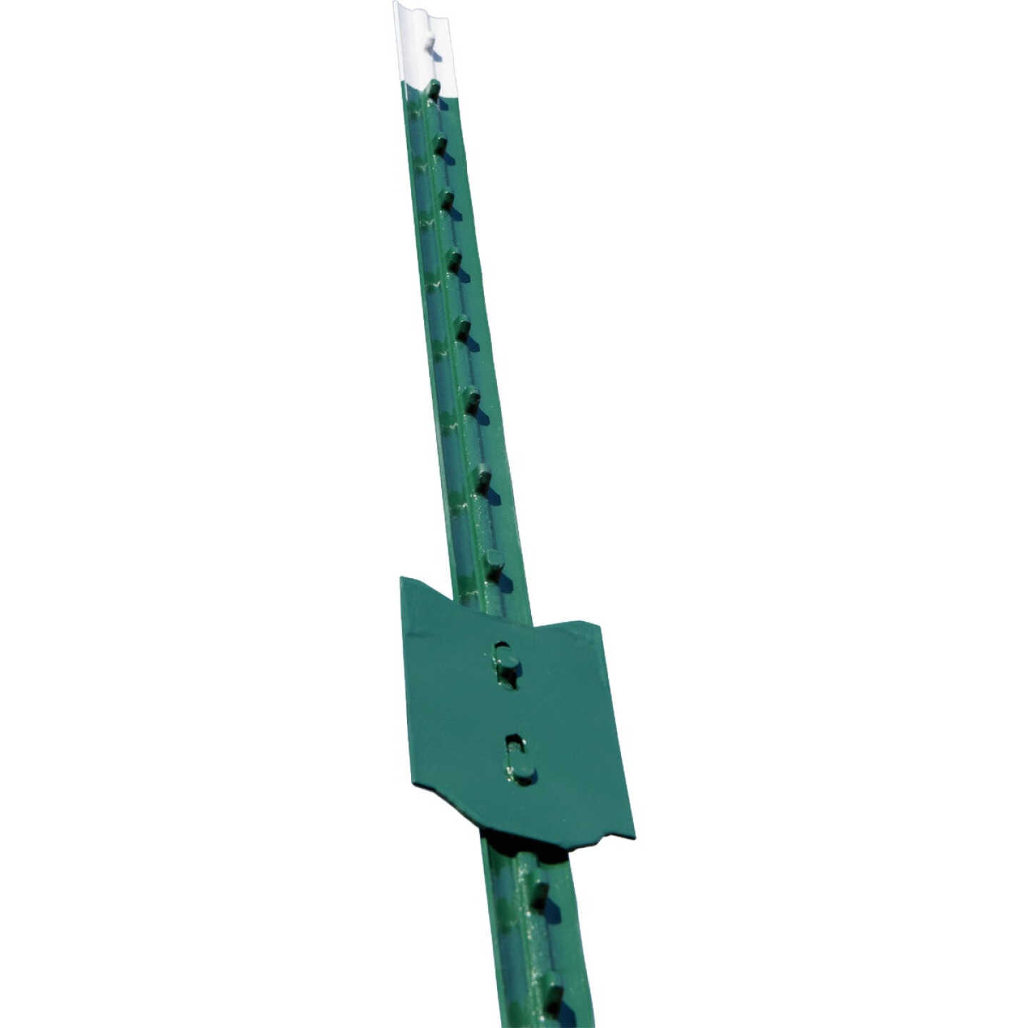Franklin Industries 5.5 Ft. Steel 1.25 Lb./Ft. Fence T-Post Image 1