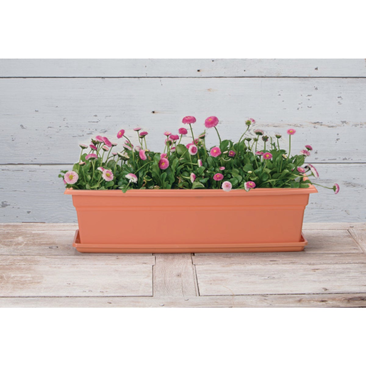 Novelty Countryside 24 In. Terra Plastic Flower Box Tray Image 2