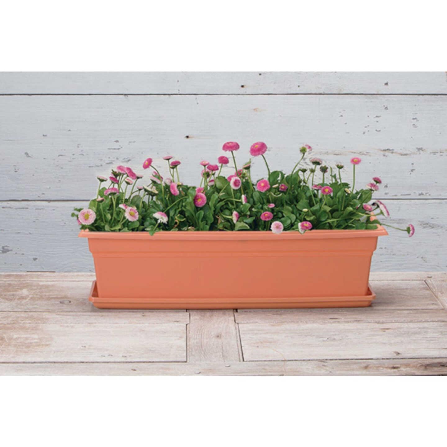 Novelty Countryside 24 In. Terra Plastic Flower Box Tray Image 2