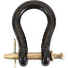 Koch 7/8 In. Straight Clevis Image 1