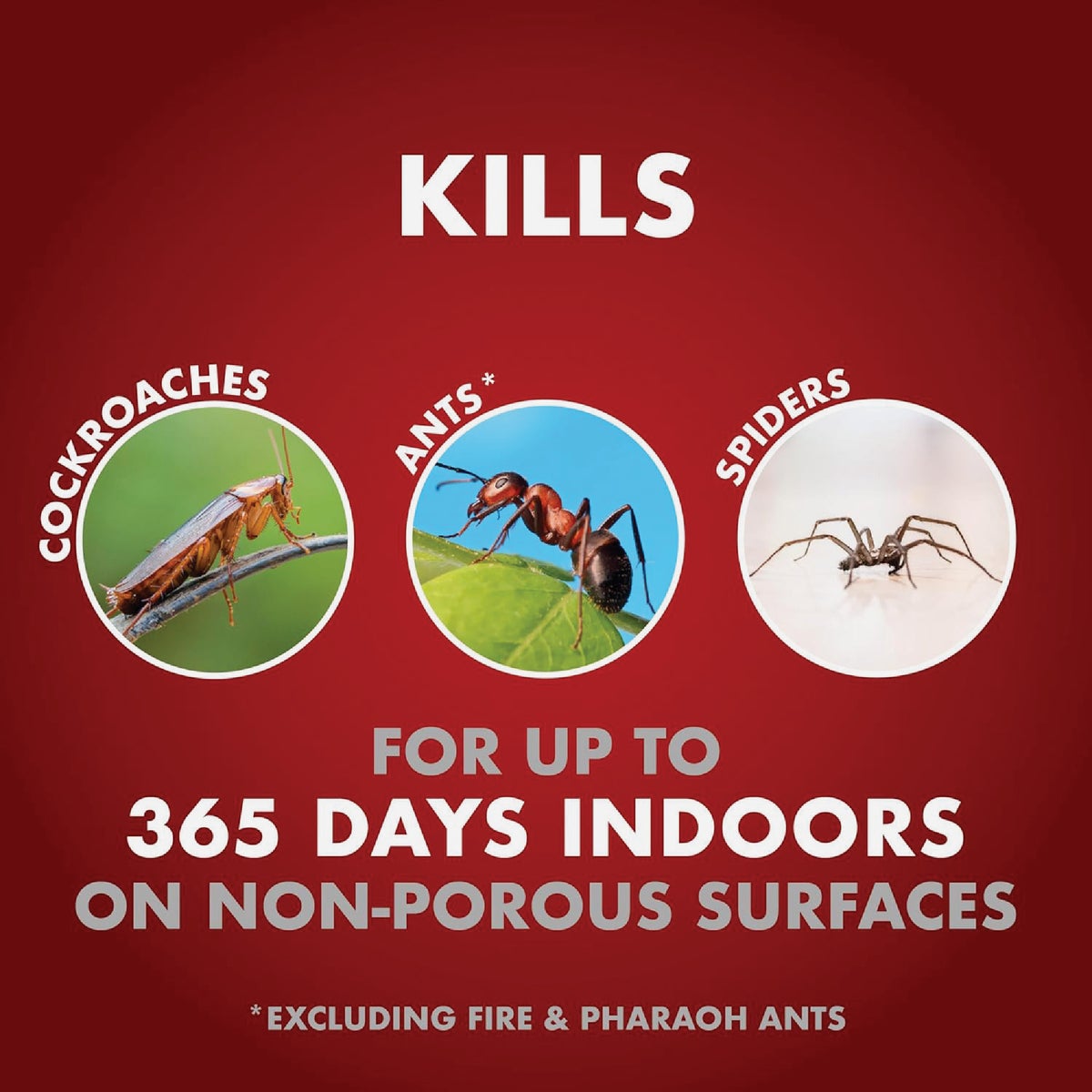 Spectracide One-Shot Home Insect Control 1 Gal. Ready To Use Insecticide With AccuShot Sprayer Image 3