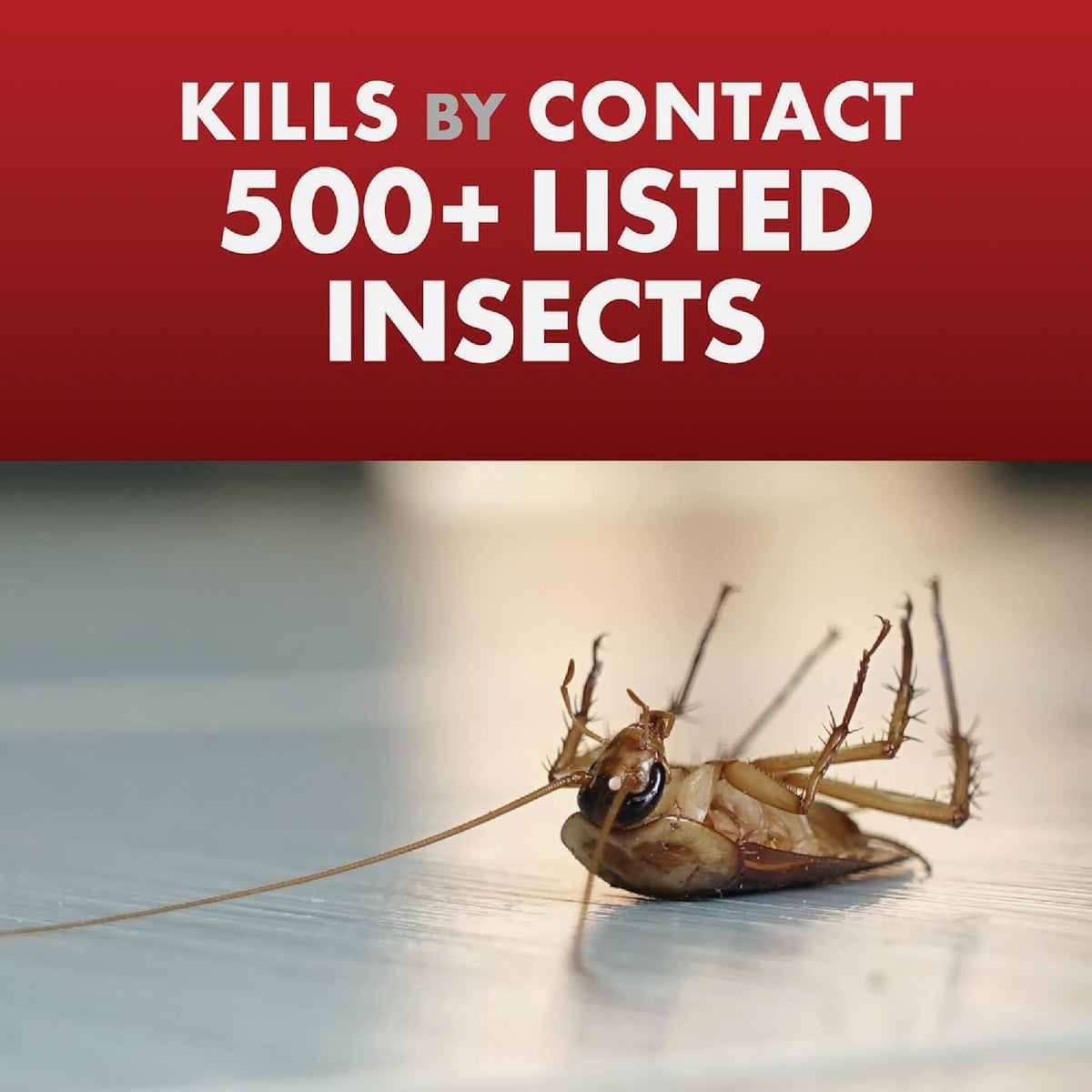 Spectracide One-Shot Home Insect Control 1 Gal. Ready To Use Insecticide With AccuShot Sprayer Image 5