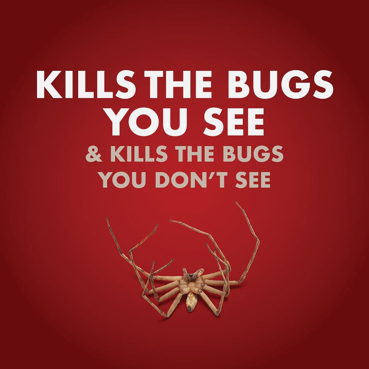 Spectracide One-Shot Home Insect Control 1 Gal. Ready To Use Insecticide With AccuShot Sprayer Image 4