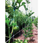 Tenax Hortanova 48 In. x 8 Ft. Polypropylene Trellis Netting Image 4