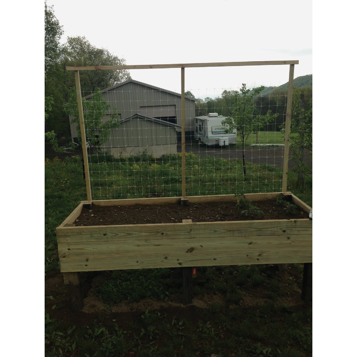 Tenax Hortanova 48 In. x 8 Ft. Polypropylene Trellis Netting Image 7