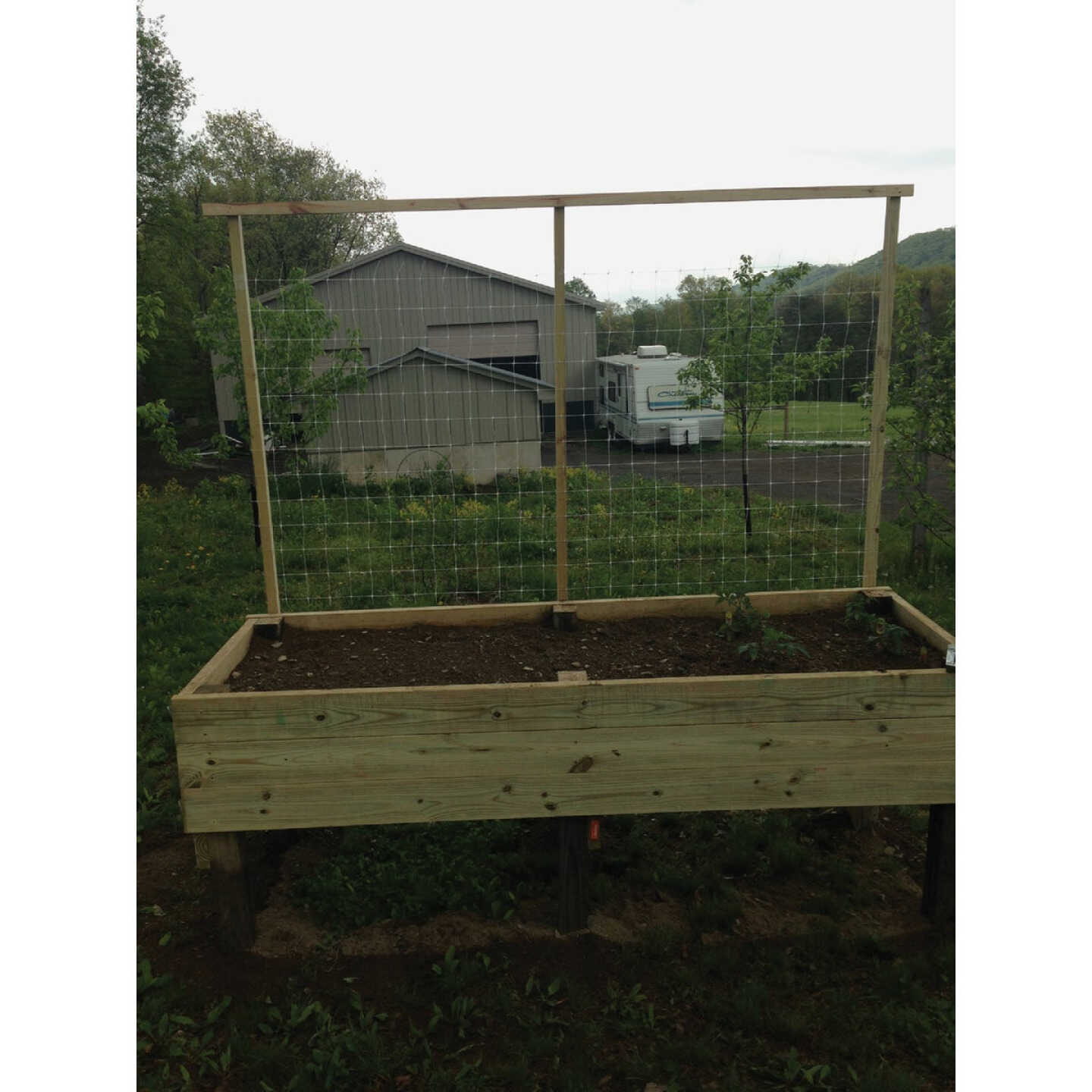 Tenax Hortanova 48 In. x 8 Ft. Polypropylene Trellis Netting Image 7