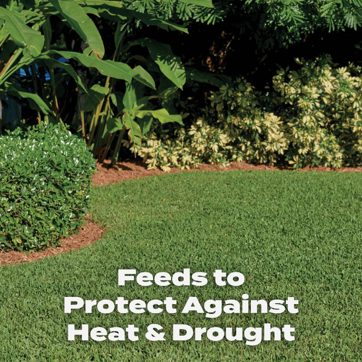 Scotts Turf Builder 15,000 Sq. Ft. Southern Lawn Food Image 4