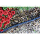 Gilmour 25 Ft. Flat Soaker Hose Image 3