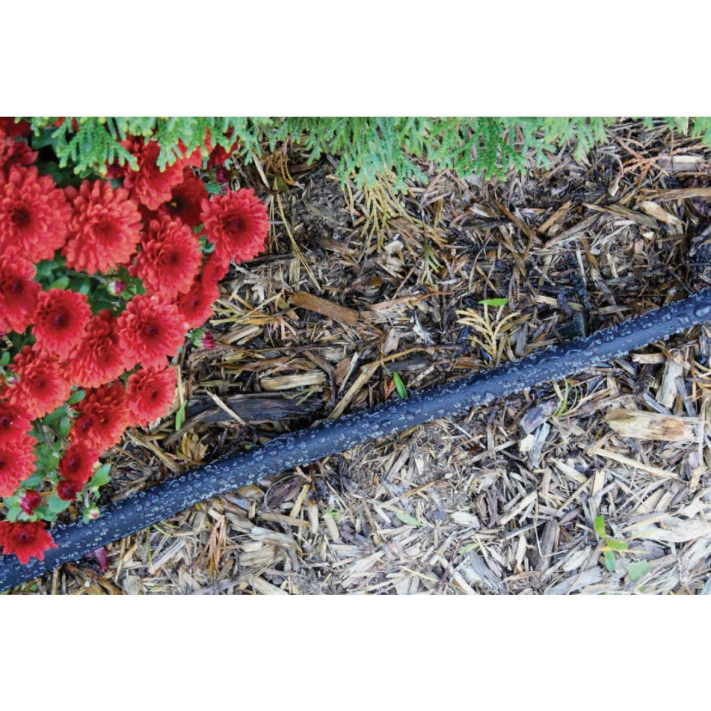 Gilmour 25 Ft. Flat Soaker Hose Image 3