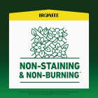 Ironite 3 Lb. 1000 Sq. Ft. Coverage Soluble Iron Image 3