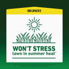 Ironite 30 Lb. 10,000 Sq. Ft. Coverage Soluble Iron Image 4