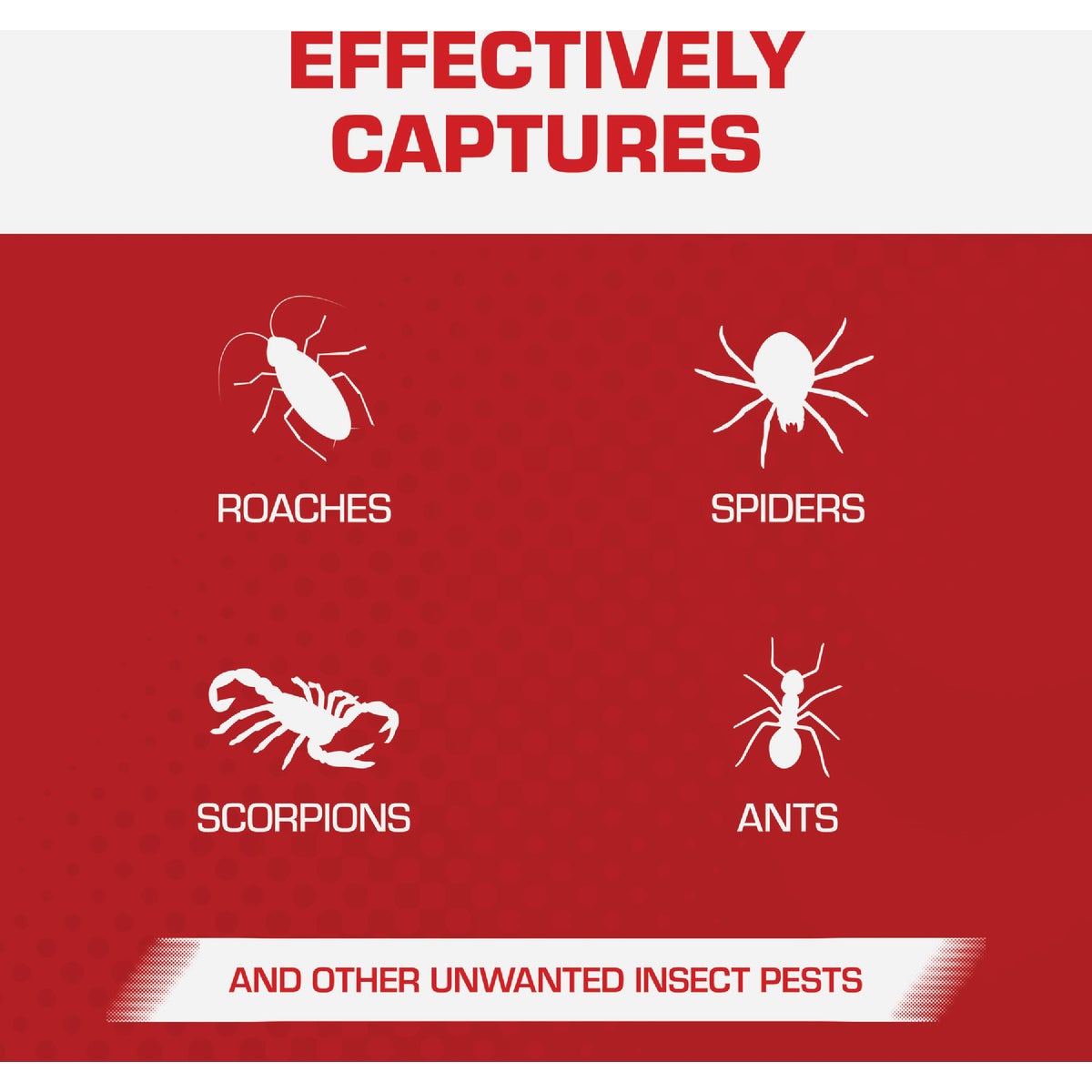 TOMCAT Household Pest Glue Boards (4-Pack) Image 3