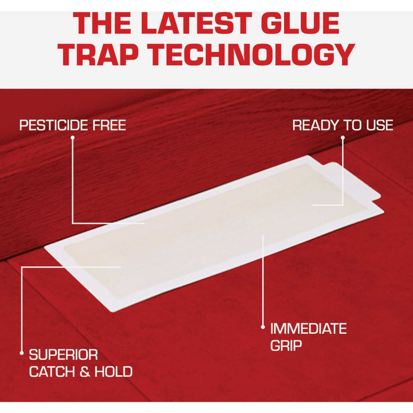 TOMCAT Household Pest Glue Boards (4-Pack) Image 4