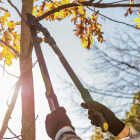 Woodland 28 In. LeverAction Heavy Duty Lopper Image 2