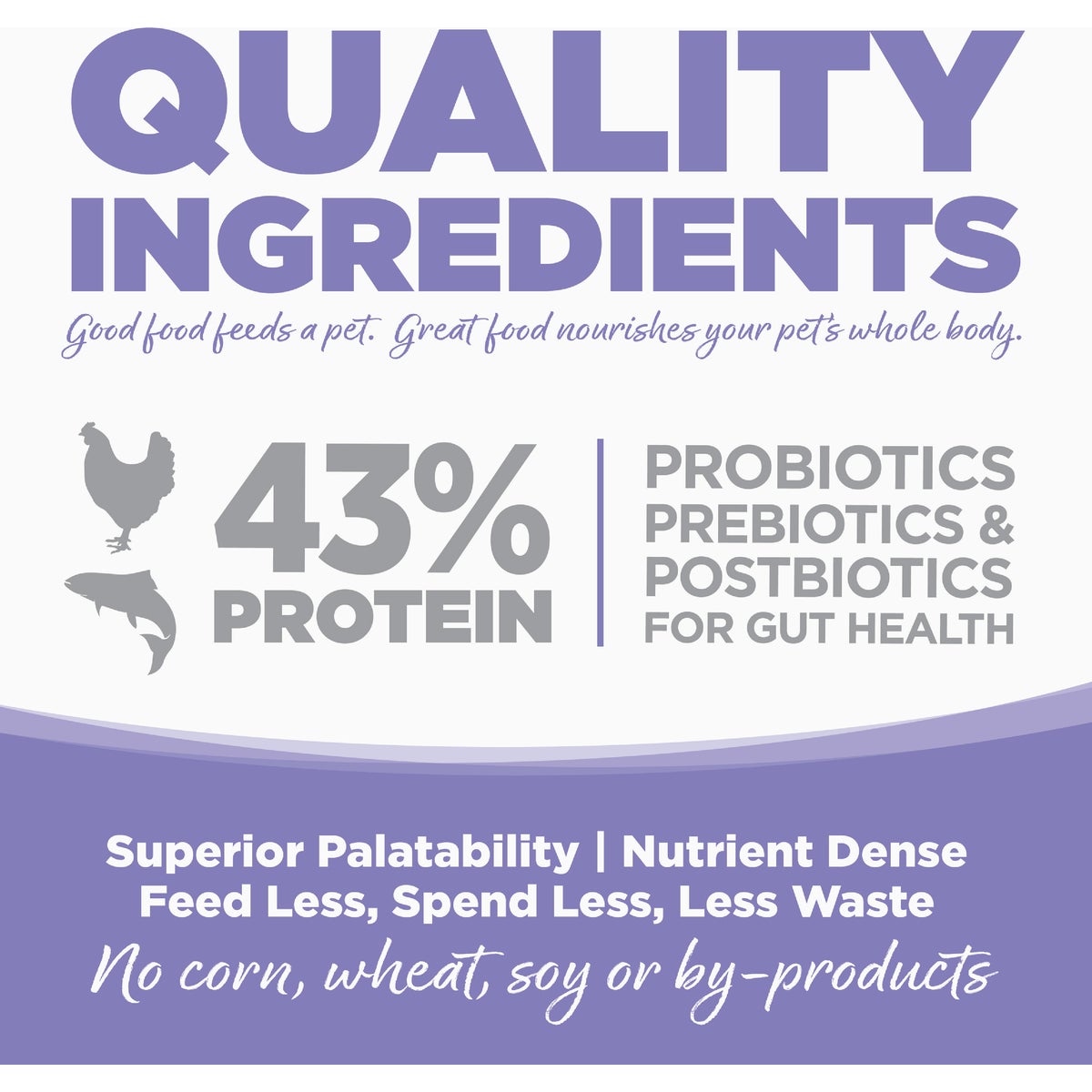 NutriSource 12 Lb. Chicken & Salmon Grain Free Dry Cat & Kitten Food Image 2