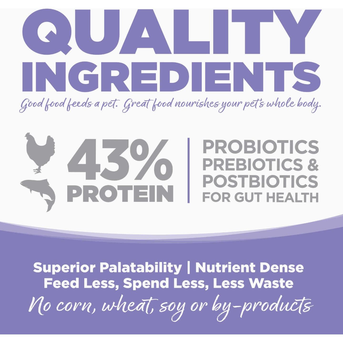 NutriSource 12 Lb. Chicken & Salmon Grain Free Dry Cat & Kitten Food Image 2