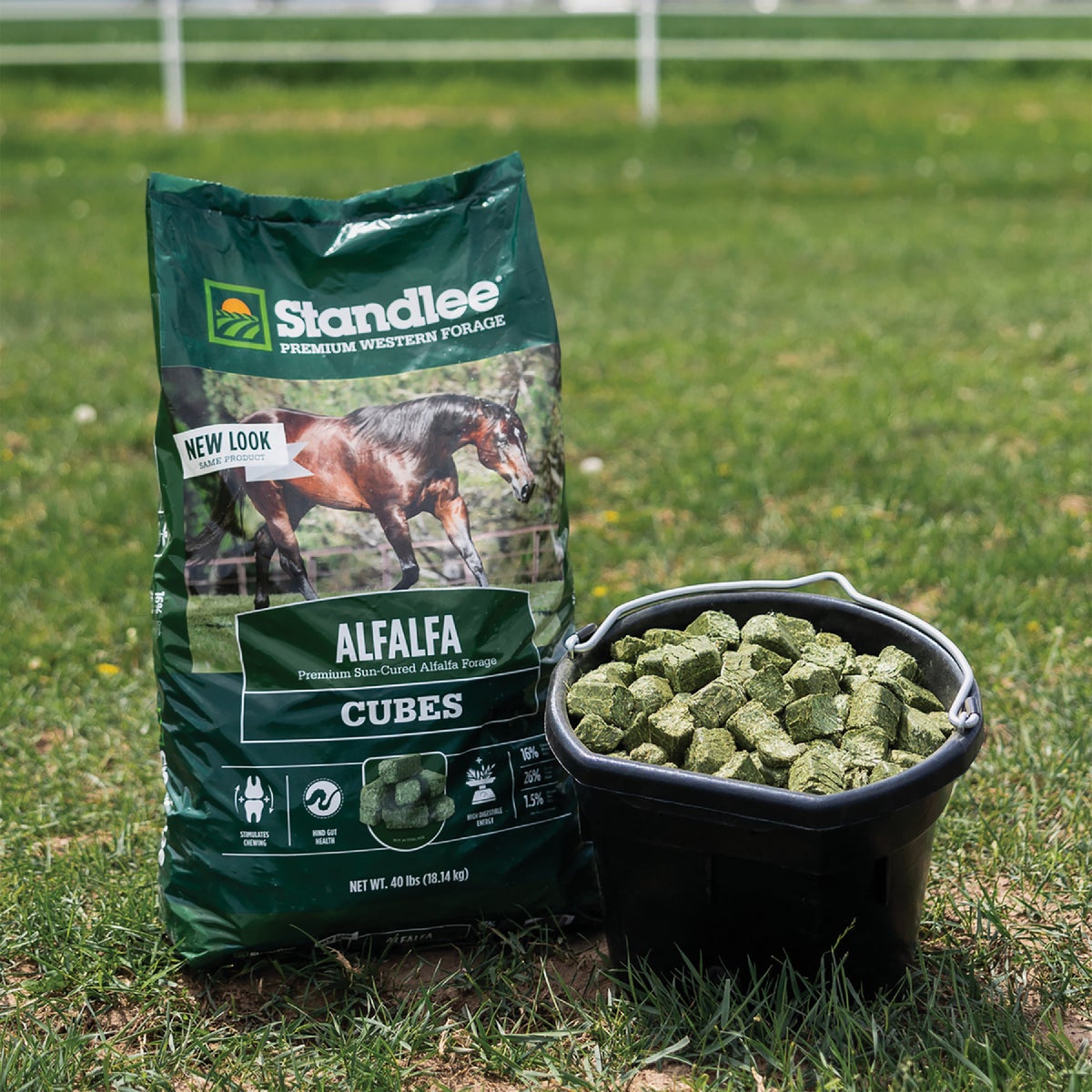 Standlee Premium Western Forage 40 Lb. Premium Alfalfa Cubes Image 4