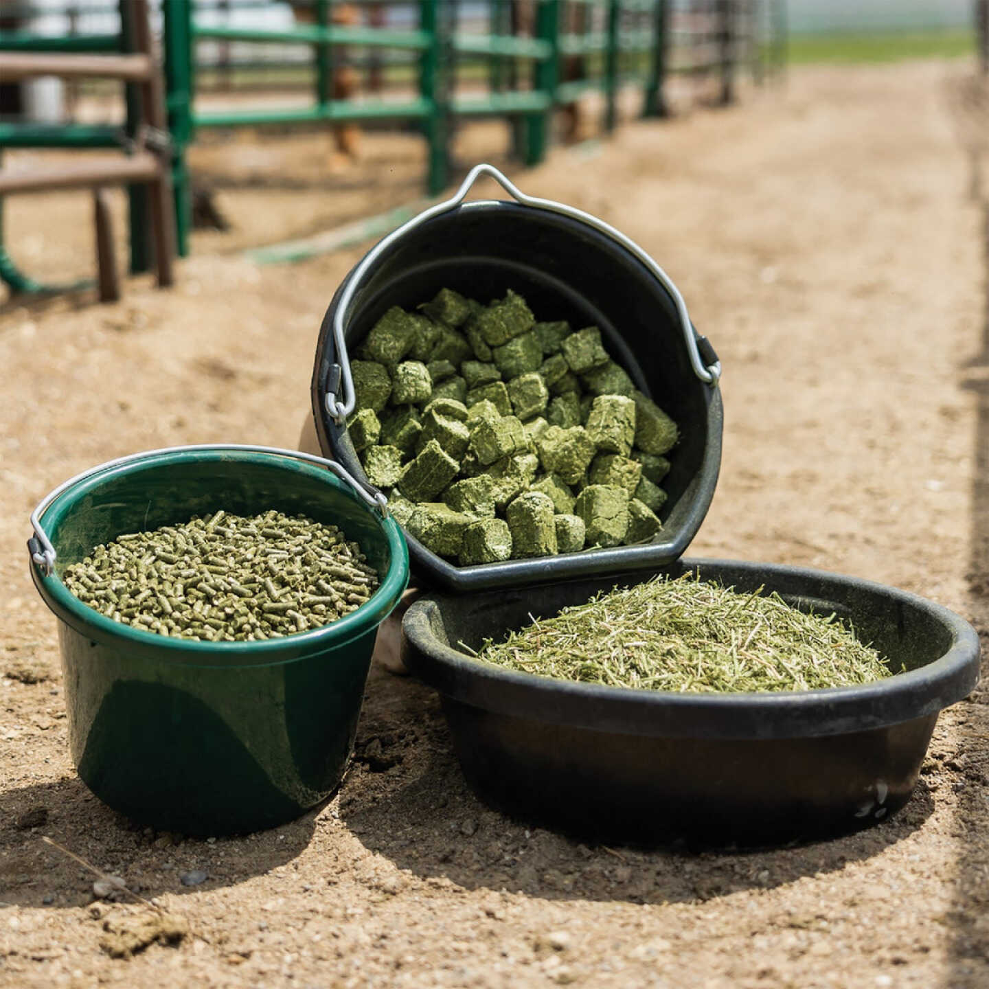 Standlee Premium Western Forage 40 Lb. Premium Alfalfa Cubes Image 5