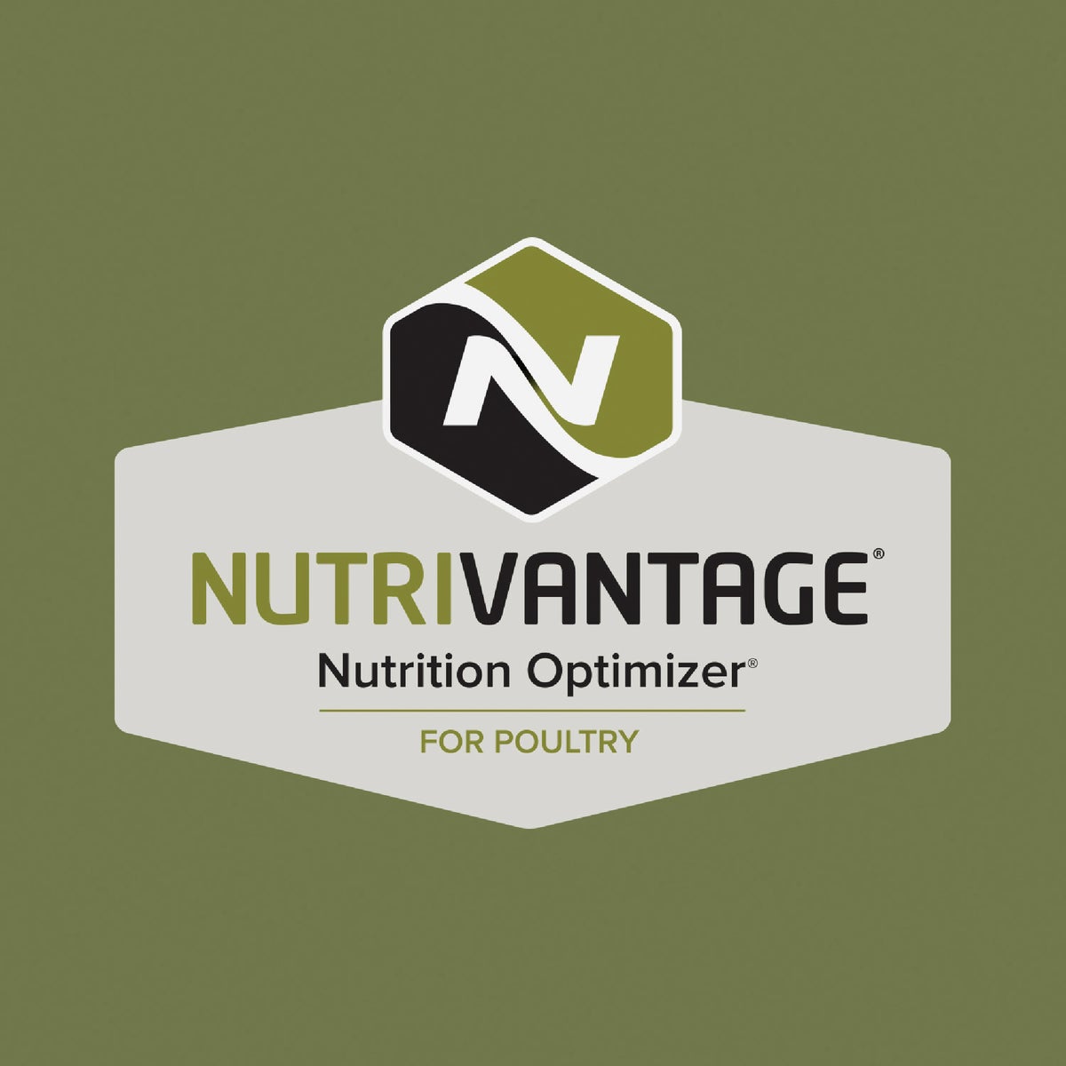 Kent Multi-Flock Chick N Game 50 Lb. Starter/Grower Crumble Image 2