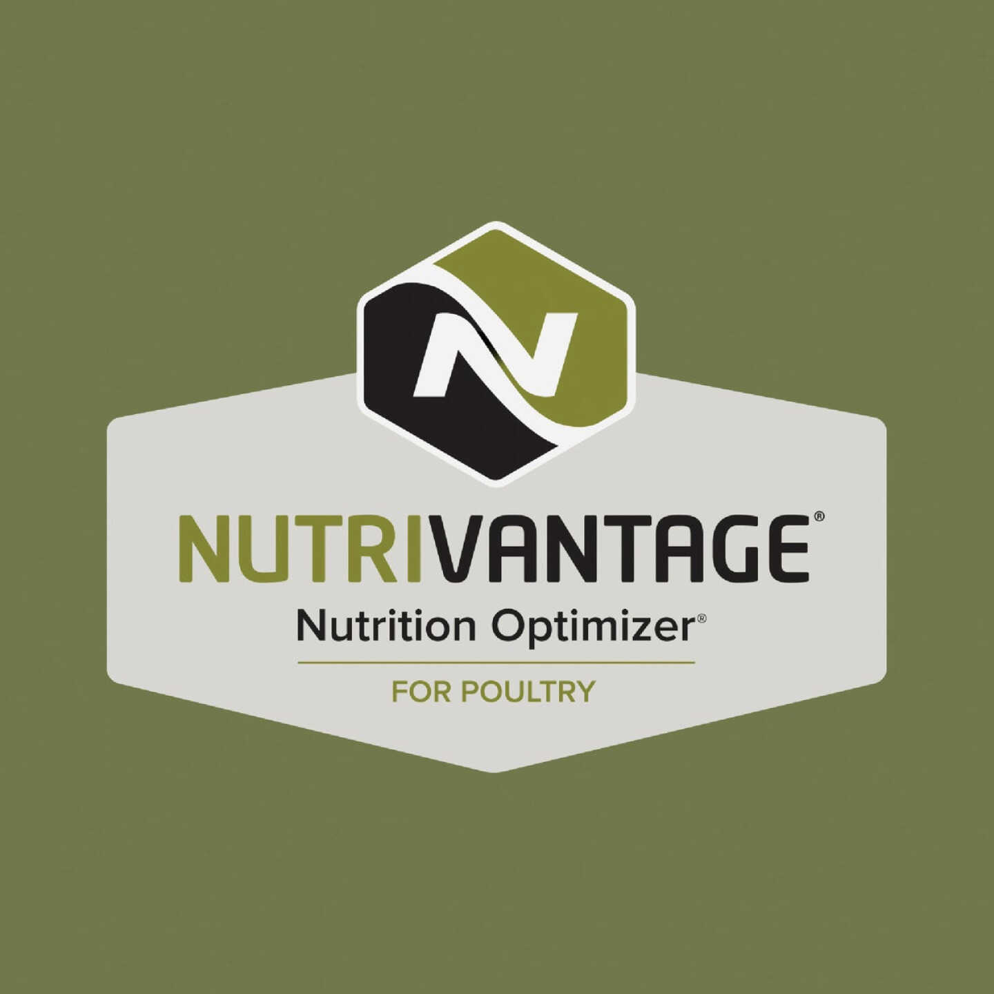 Kent Multi-Flock Chick N Game 50 Lb. Starter/Grower Crumble Image 2