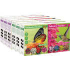 TotalGreen Holland Pollinator Bulb Collection Image 1