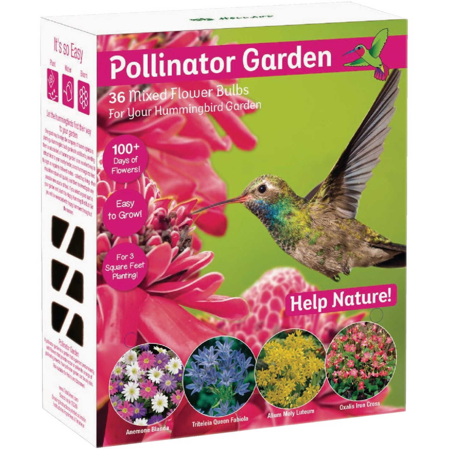 TotalGreen Holland Pollinator Bulb Collection Image 4