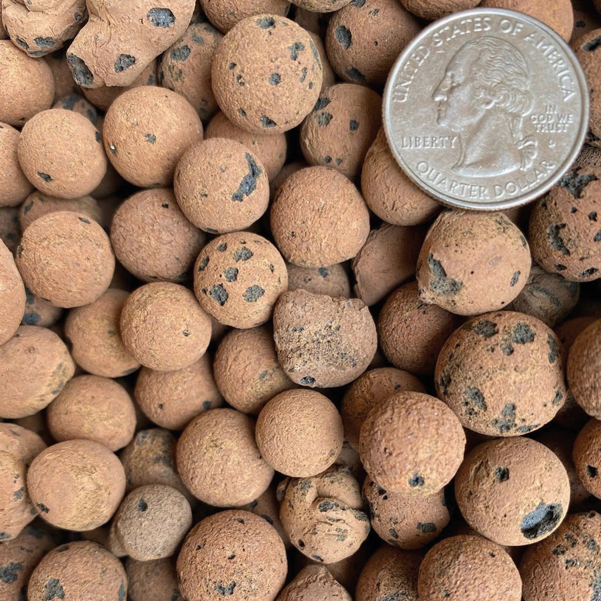 Sol Soils 2 Qt. LECA Balls Image 3