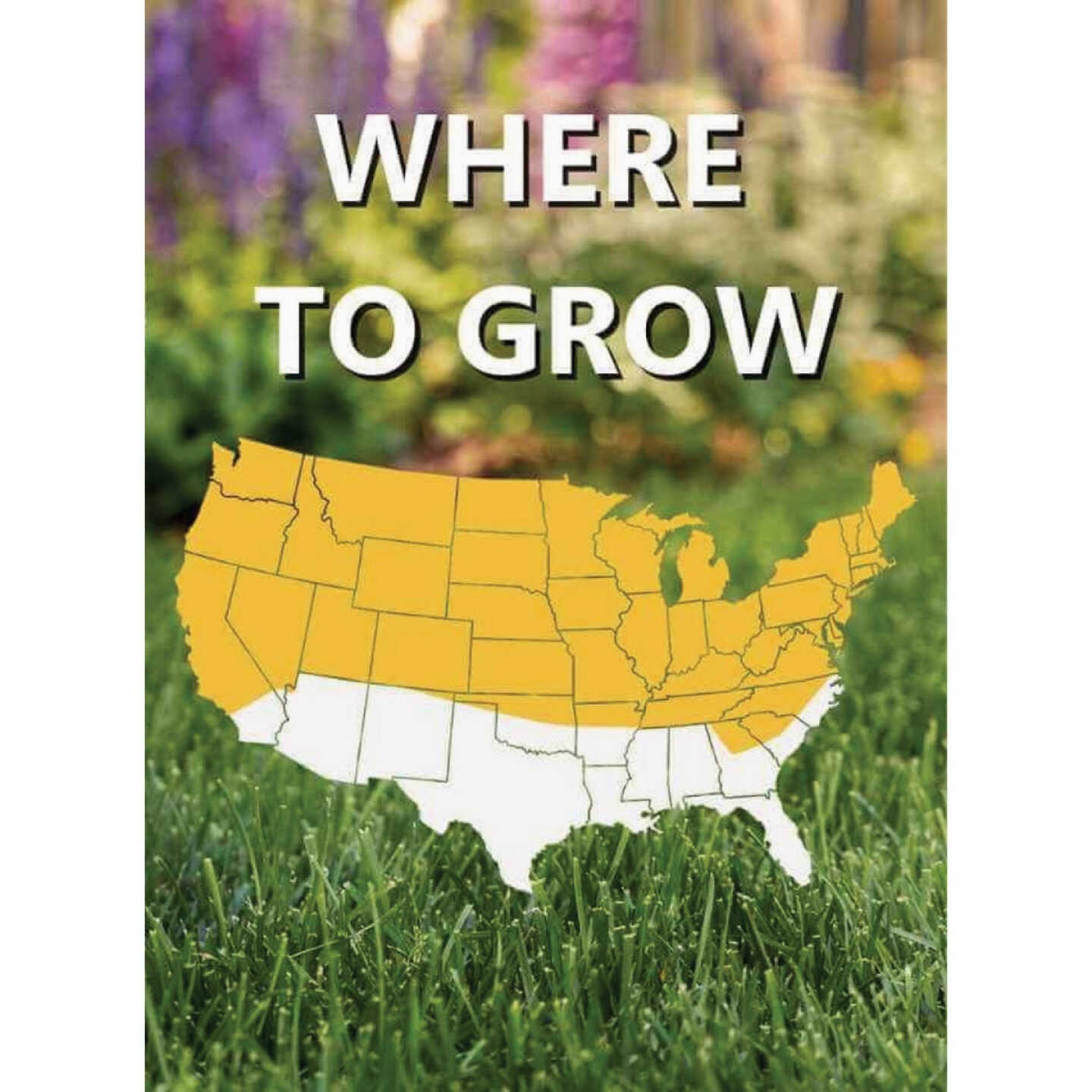 Jonathan Green Black Beauty 3 Lb. Tall Fescue Original Elite Blend Grass Seed Image 2