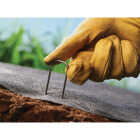 DeWitt 6 In. L. x 1 In. W. 11 Ga. Steel Landscape Anchor Pins (75-Pack) Image 2