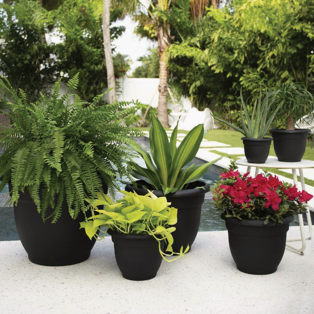 Bloem Ariana 8 In. Black Planter Image 2