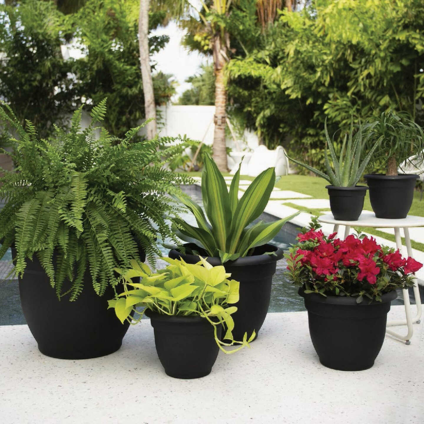 Bloem Ariana 8 In. Black Planter Image 2