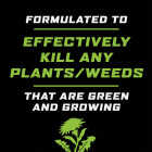 Ortho GroundClear 1 Gal. Refill Weed & Grass Killer Image 3