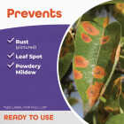 Bonide 1 Lb. Ready To Use Sulfur Plant Fungicide Image 4