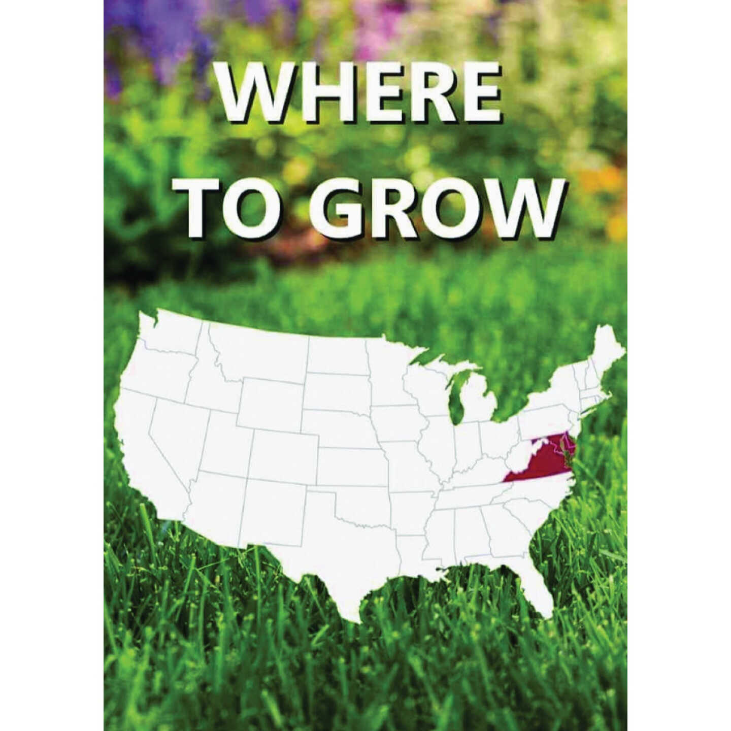 Jonathan Green Black Beauty Delmarva 3 Lb. 1500 Sq. Ft. Coverage Tall Fescue Grass Seed Image 2