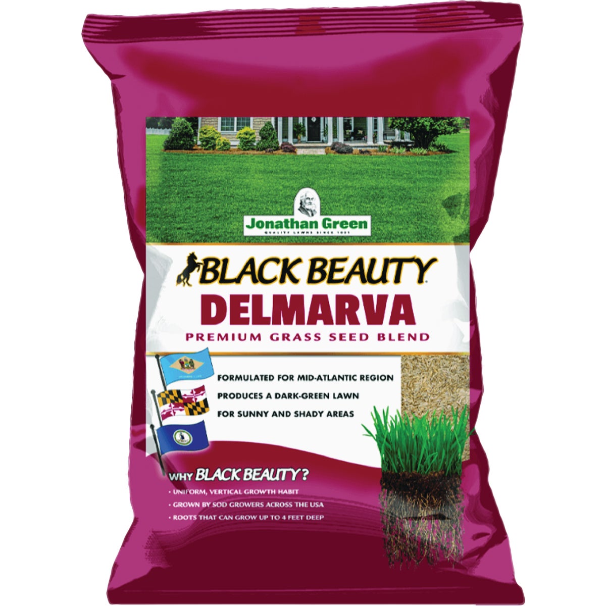Jonathan Green Black Beauty Delmarva 3 Lb. 1500 Sq. Ft. Coverage Tall Fescue Grass Seed