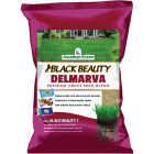 Jonathan Green Black Beauty Delmarva 3 Lb. 1500 Sq. Ft. Coverage Tall Fescue Grass Seed Image 1