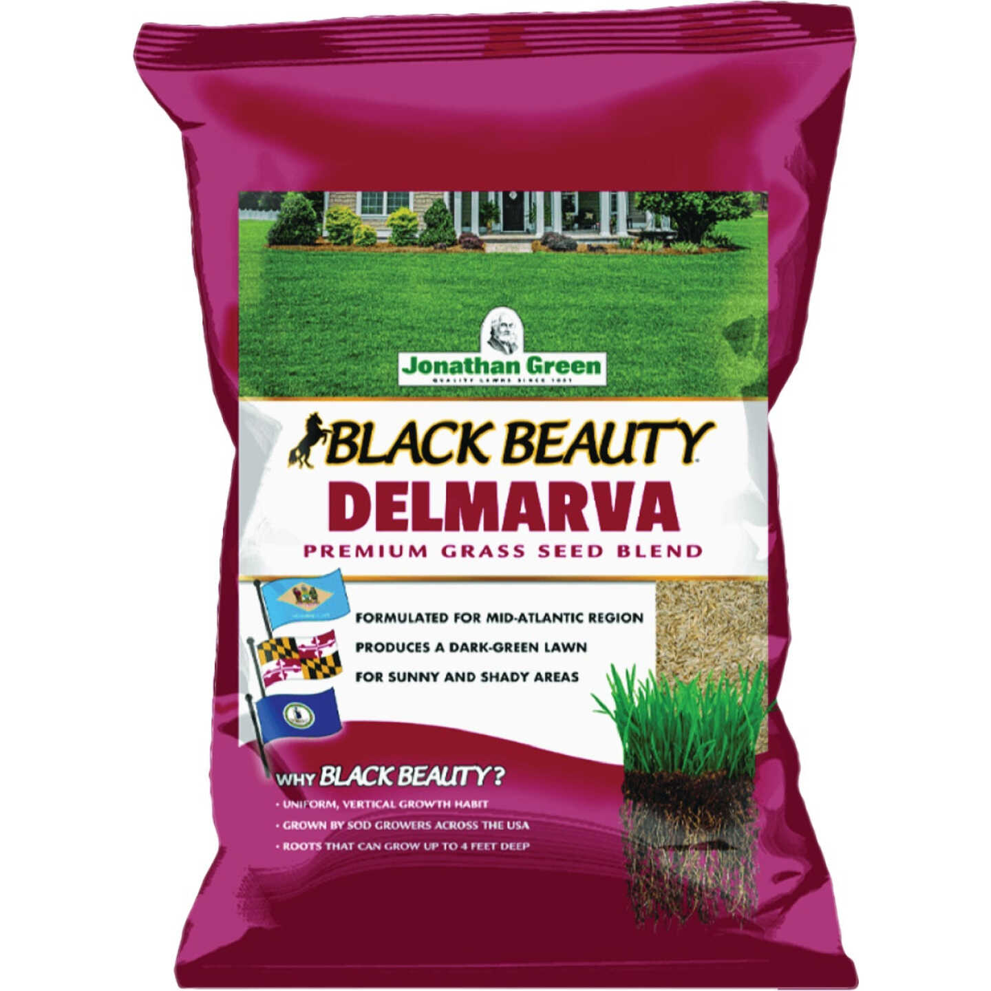 Jonathan Green Black Beauty Delmarva 3 Lb. 1500 Sq. Ft. Coverage Tall Fescue Grass Seed Image 1